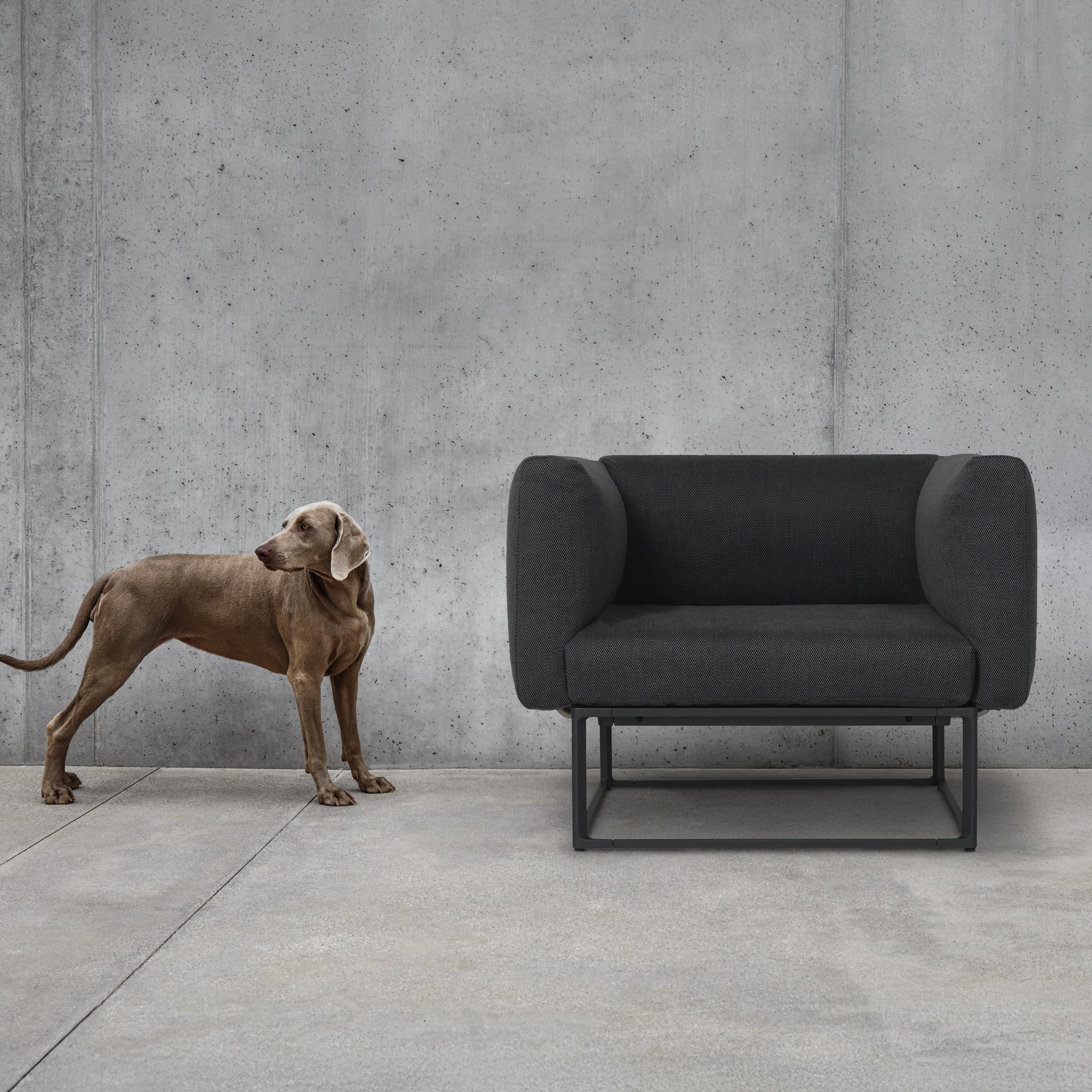 Gloster Maya Lounge Chair