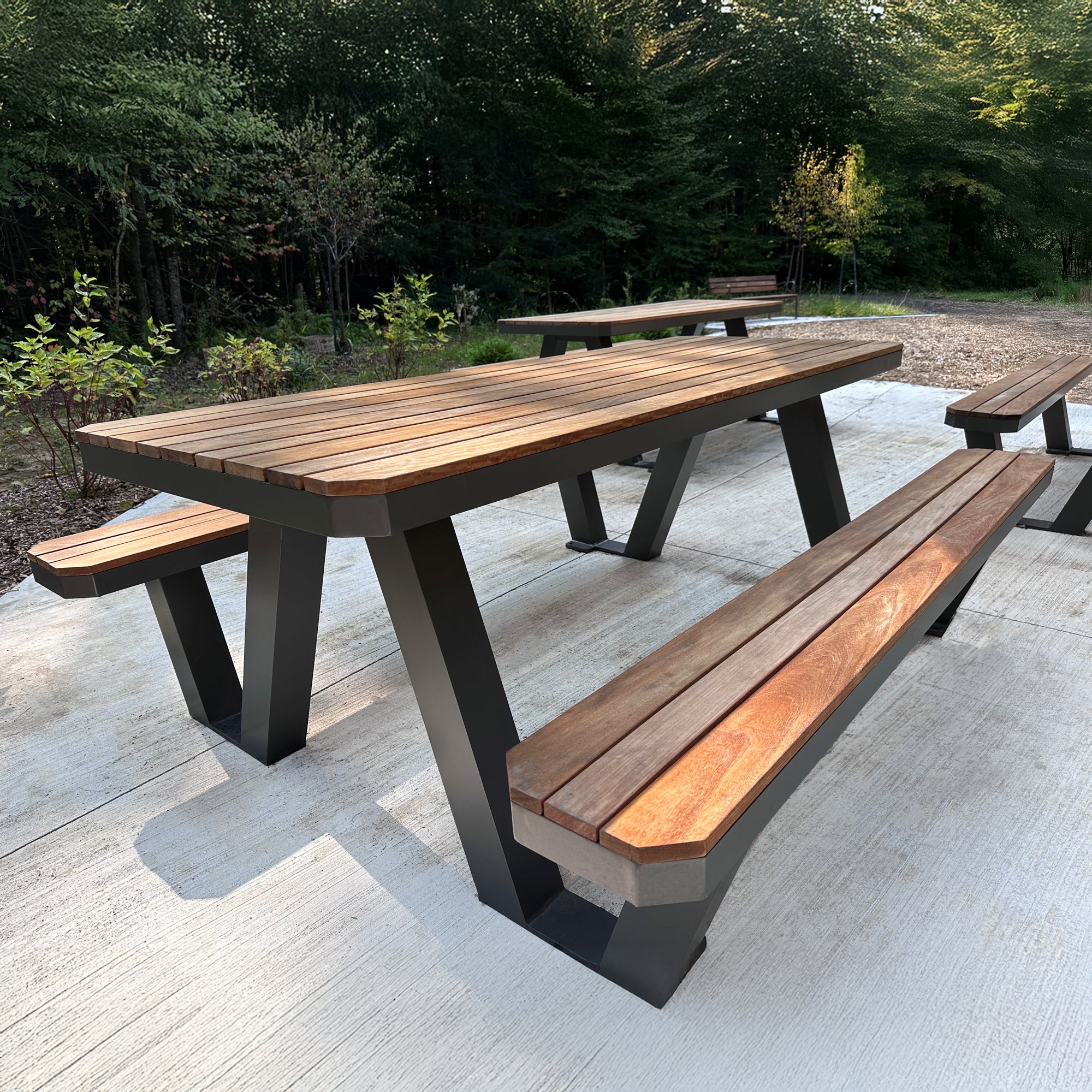 APEX Picnic Table