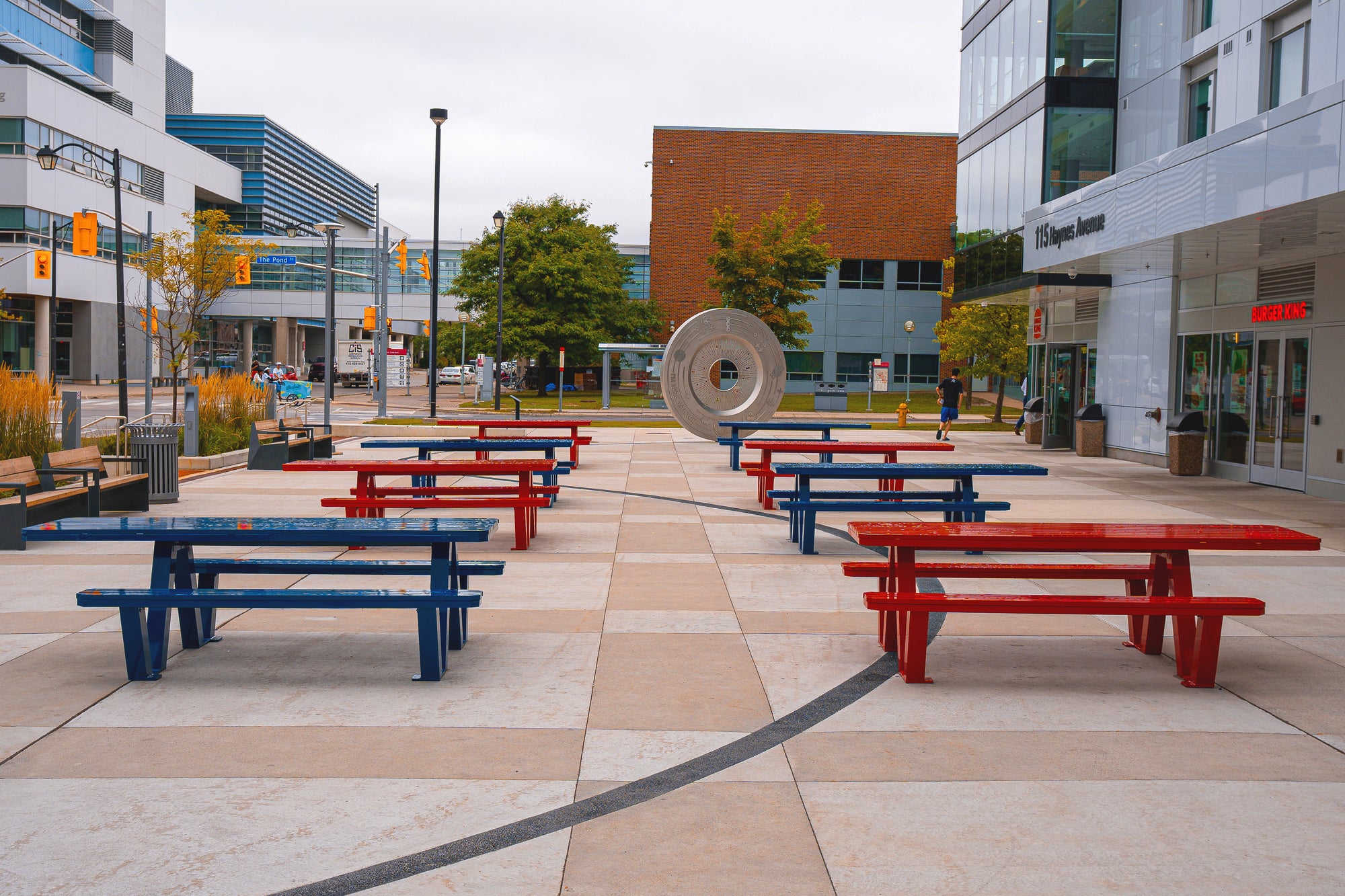 53155612234_14b804ee35_o (1).jpg