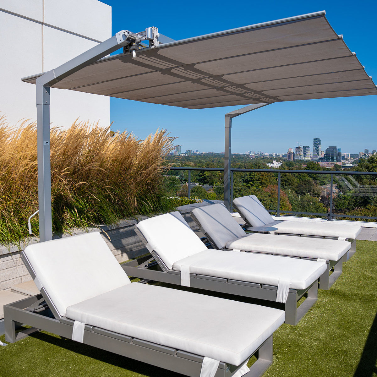 Quantum Daybed