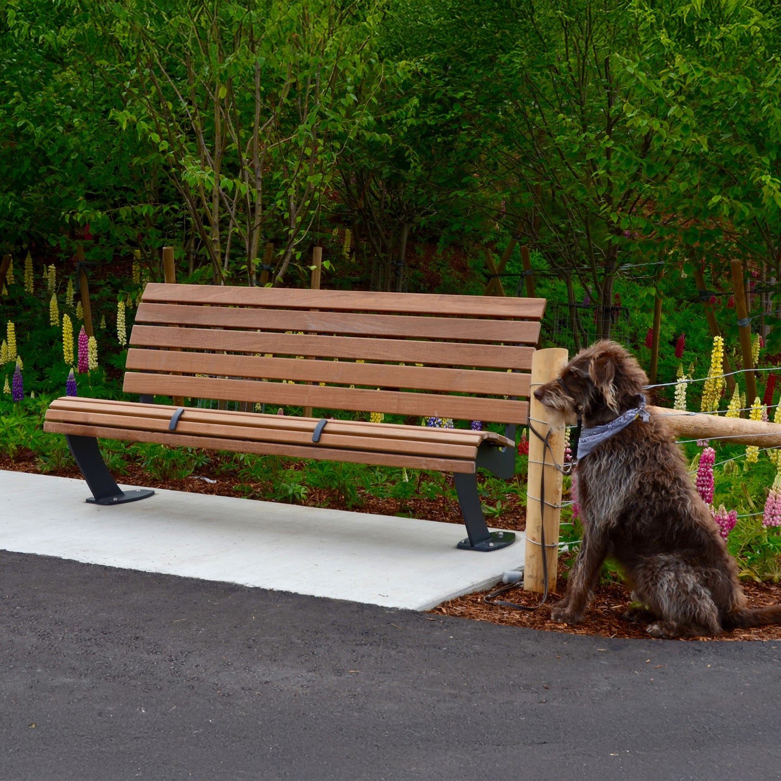 Harbor Armless Bench