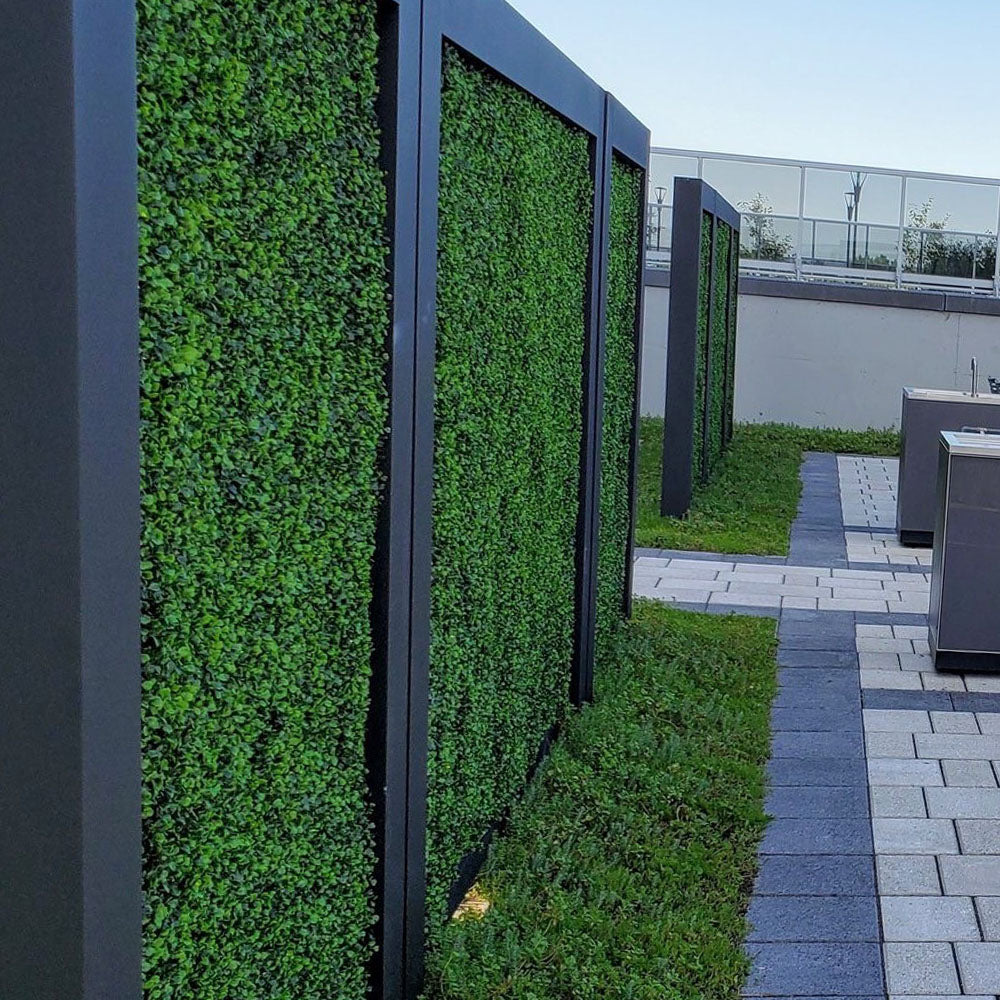 Paradigm Plant Wall